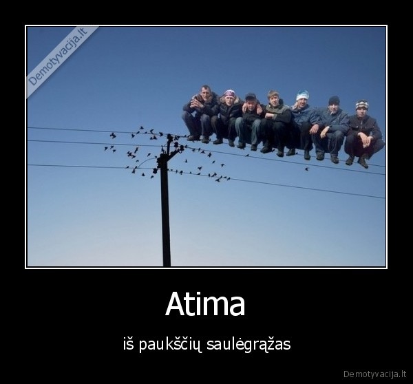 pauksciai