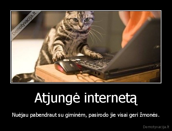 zmones,internetas