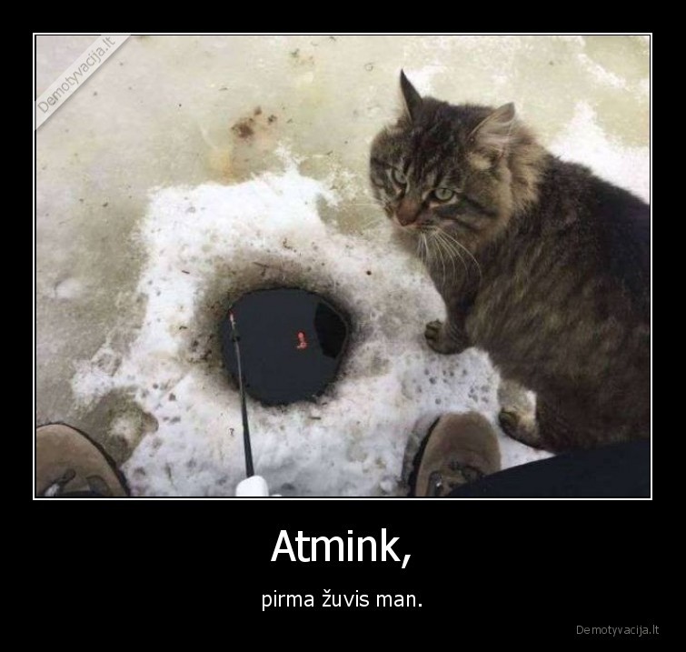 atkatas,otkatas,poledine, zukle