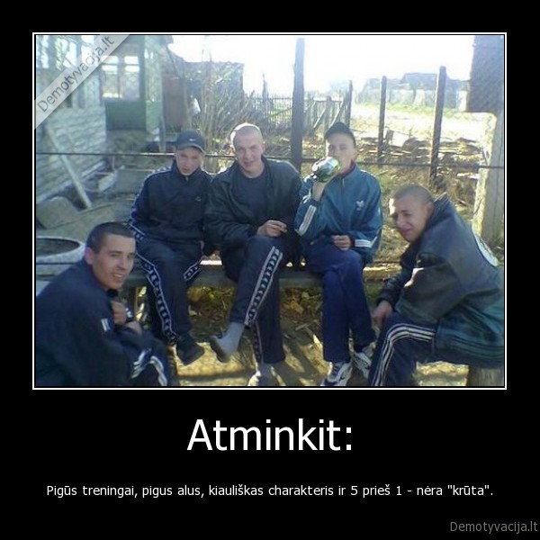 marozai, forsai, gezai, mariu, alus, abibas
