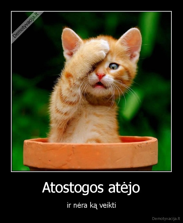 Atostogos atėjo