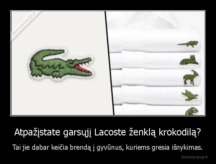 brendas,lacoste,krokodilai,gyvunai