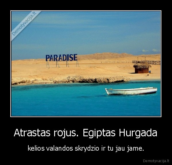 Atrastas rojus. Egiptas Hurgada
