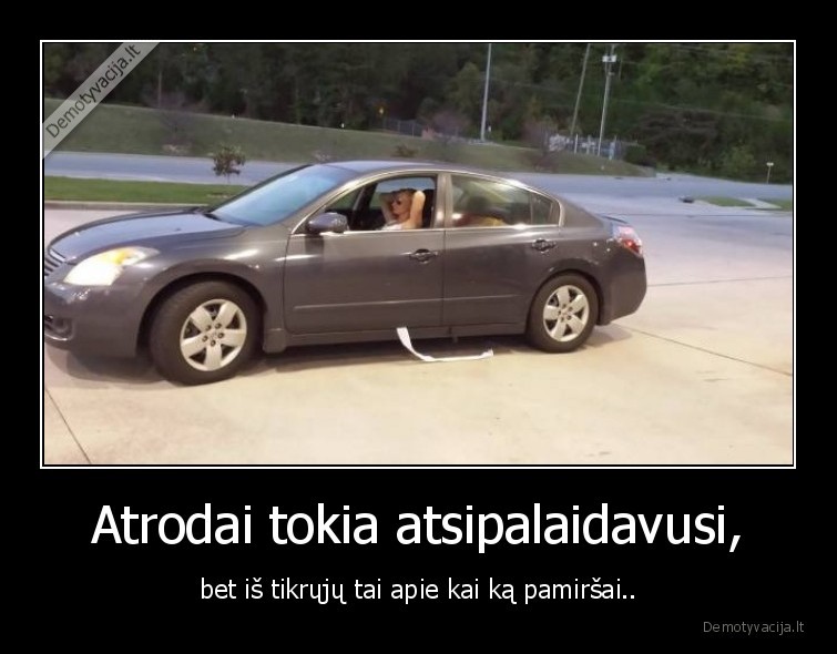 atsipalaidavusi,mergina,fail,pamirso,merginos,tualetinis, popierius,wc