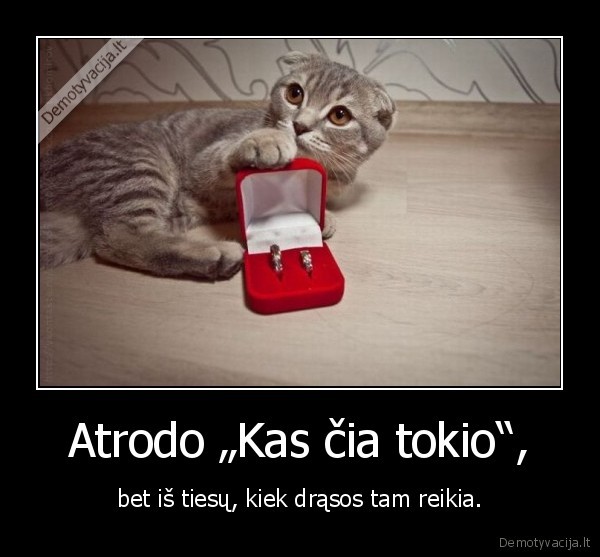 Atrodo „Kas čia tokio“,
