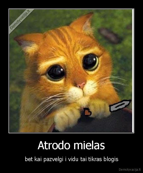 Atrodo mielas