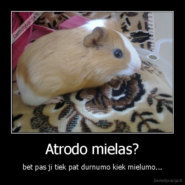 Atrodo mielas?