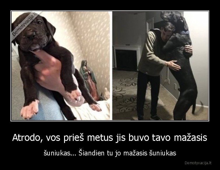 suo,mazas,didelis,auga,vaikai
