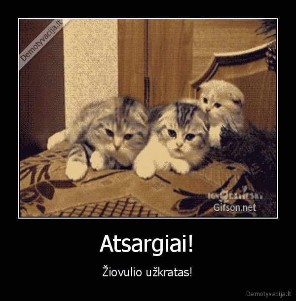 ziovulys,ziovaujantys, kaciukai