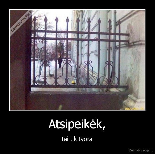 tvora, bybys