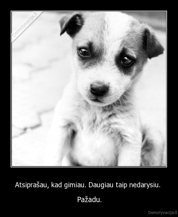 Atsiprašau, kad gimiau. Daugiau taip nedarysiu. 