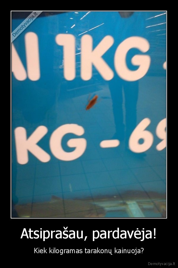 tarakonai, maxima, 1kg, 69lt