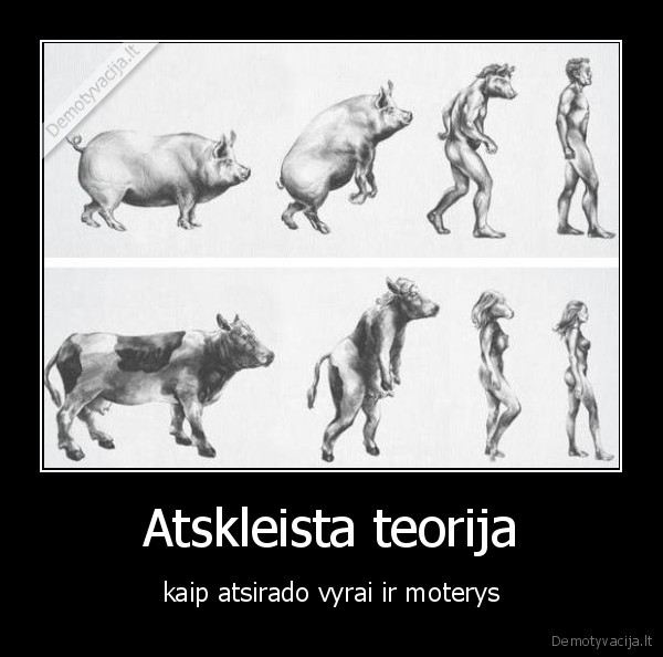 Atskleista teorija