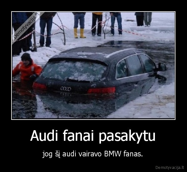 bmw,audi