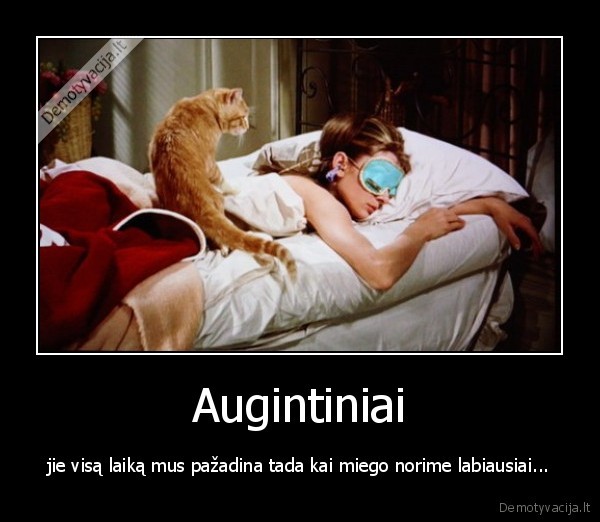 Augintiniai