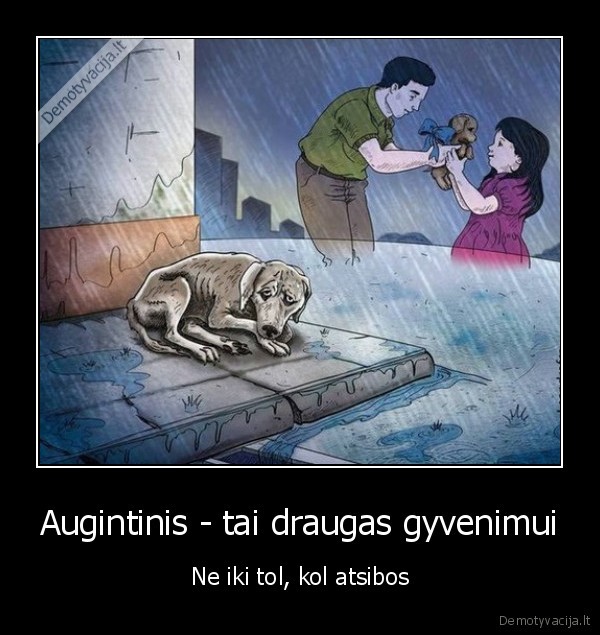 augintinis, dovanu,tikras, draugas