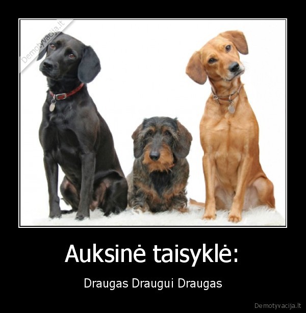 Auksinė taisyklė: