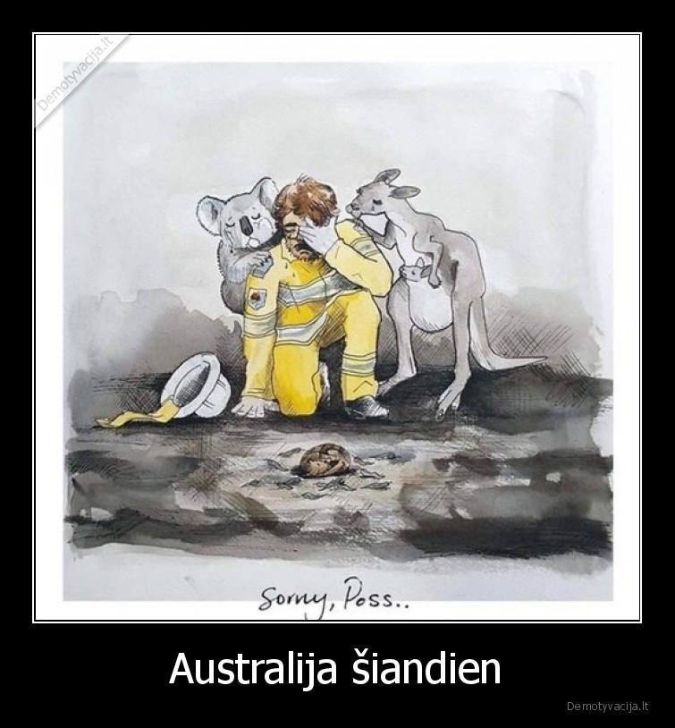 gaisras,australija,aktualijos