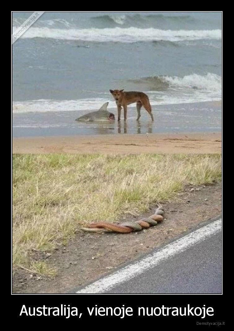 Australija, vienoje nuotraukoje
