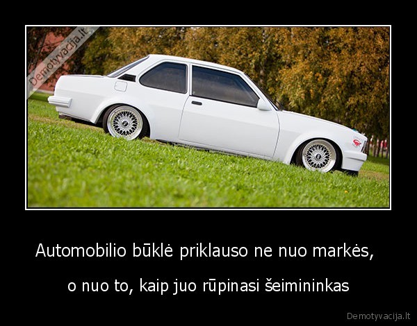 gero, seimininko, ir, ascona, nerudyja