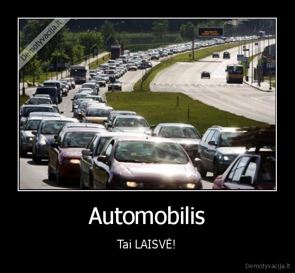 automobilis,masina,kamsciai