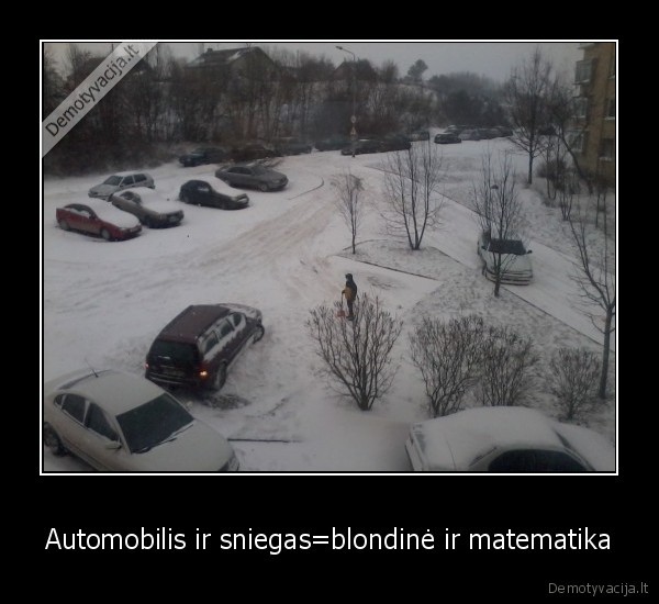 Automobilis ir sniegas=blondinė ir matematika