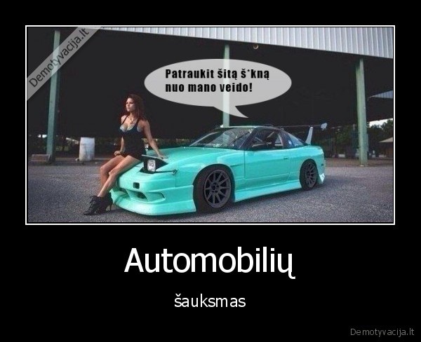 automobilis,panele