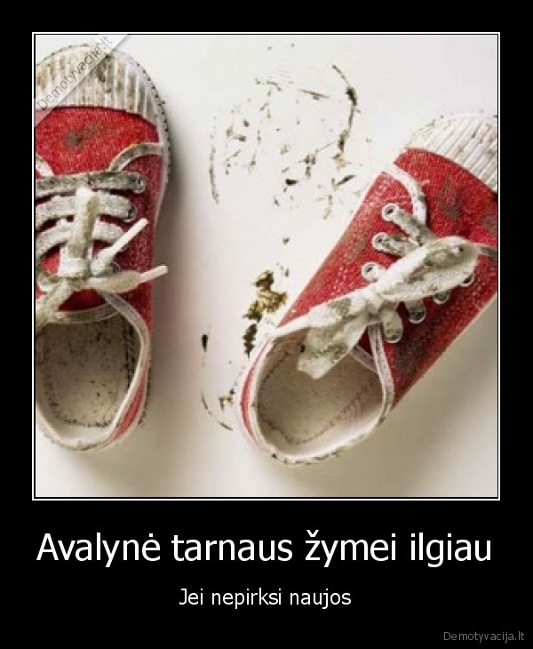 Avalynė tarnaus žymei ilgiau