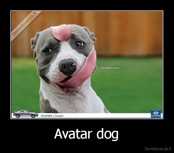 Avatar dog