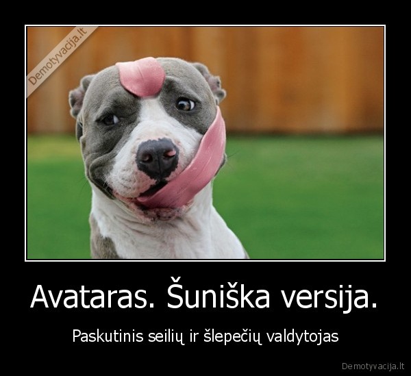 Avataras. Šuniška versija.