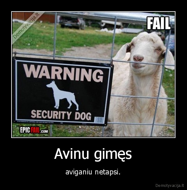 Avinu gimęs