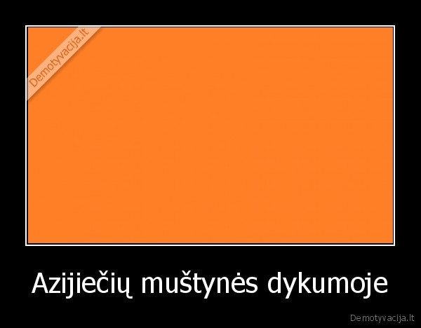 rasizmas,orandzinis, humoras
