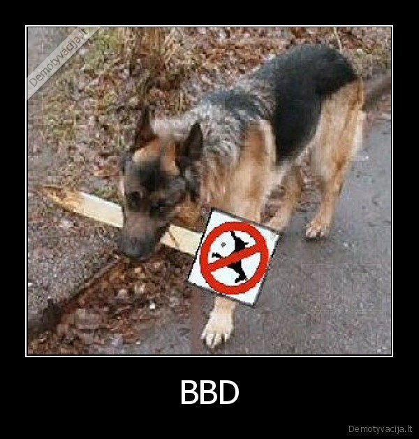 bbd,poxui
