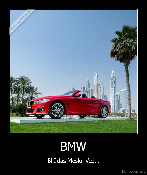 bliudas,meslas,bmw