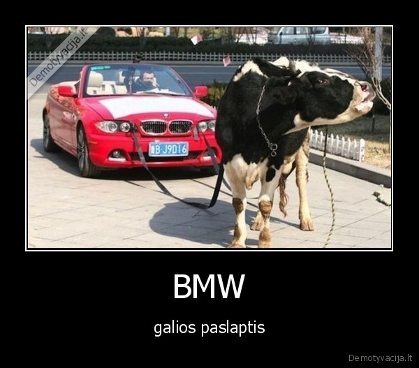 bmw,karve