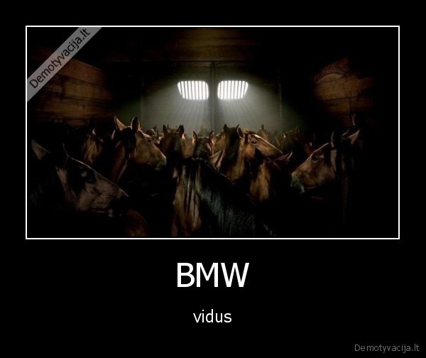 arkliai,daug,bmw