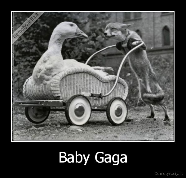 lady, gaga,lape, ir, zasis,kudykis