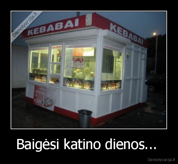Baigėsi katino dienos... 