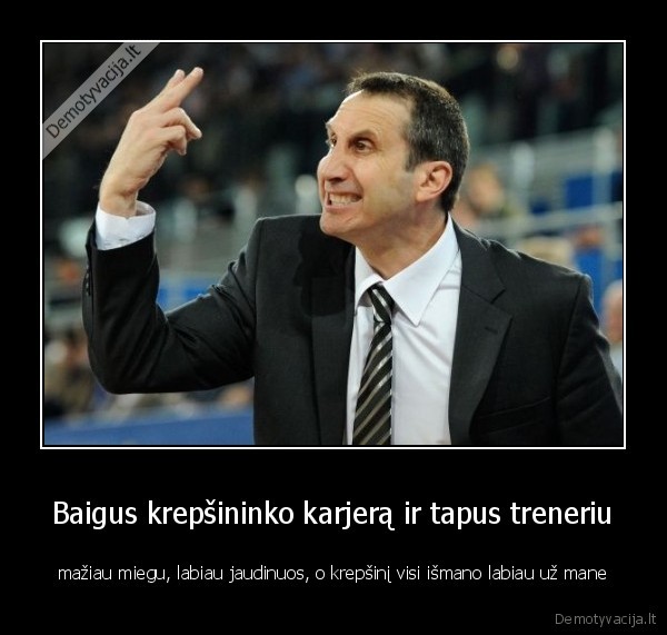 davidas, blattas