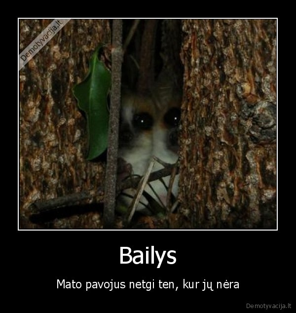 Bailys