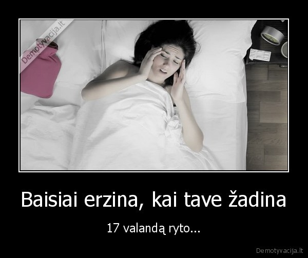 velyvas, rytas,savaitgalis