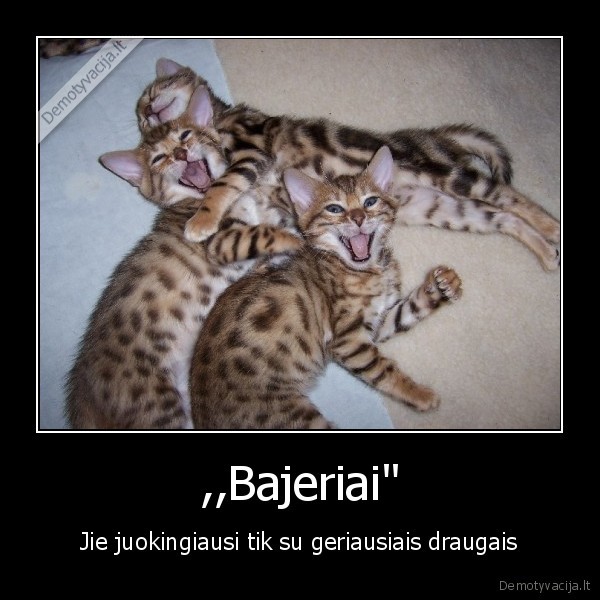 ,,Bajeriai&quot;