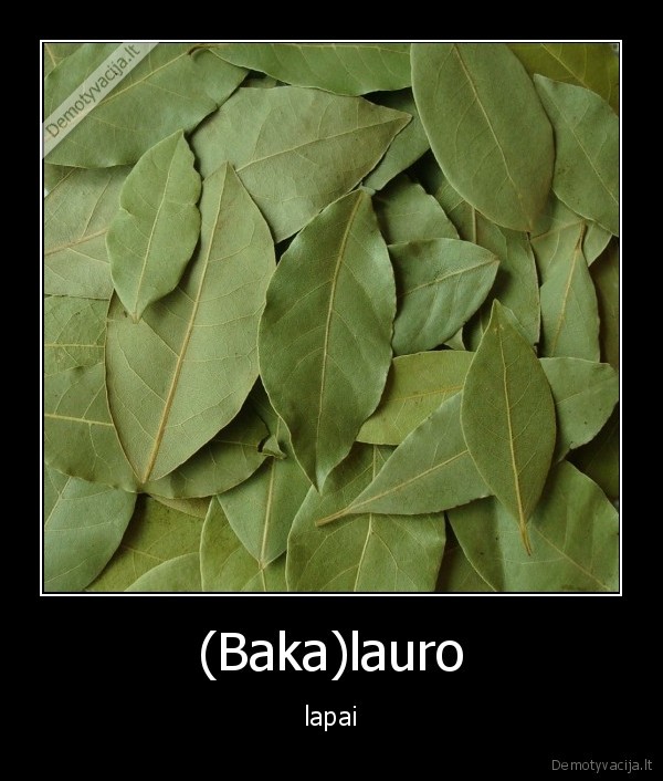 bd,bakalaurinis,studentai