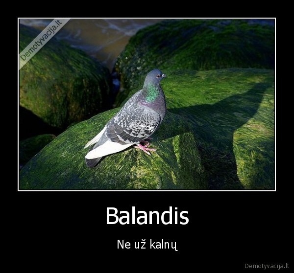 balandis,kalnai