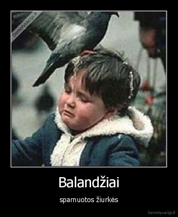 balandis,ziurke,apsiko