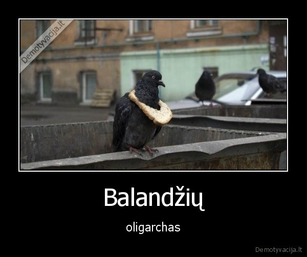 oligarchas