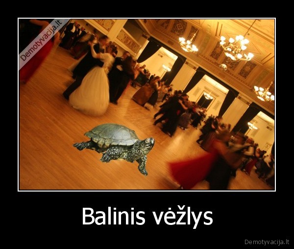 balius,vezlys,puota,baline, suknele