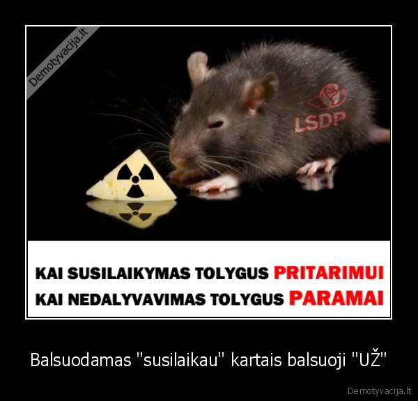 lsdp, socialdemokratai, ae, atomine, politika