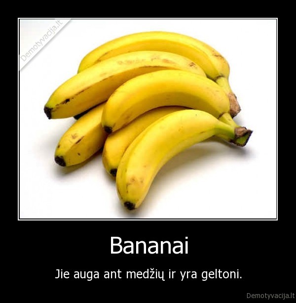 banaliausia,demotyvacija,ever