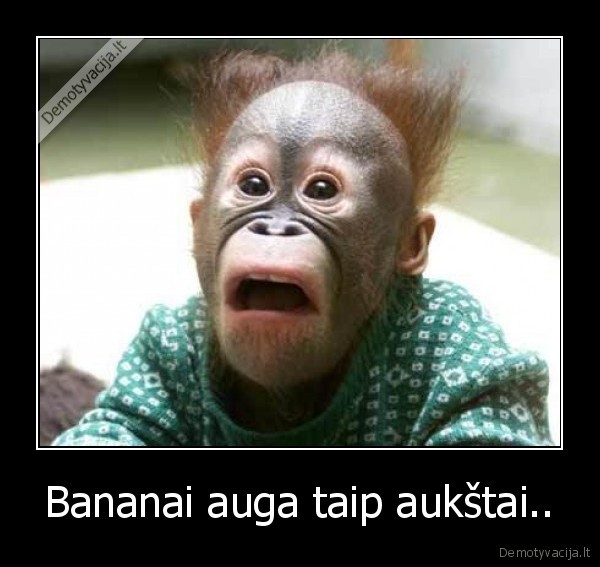 o, ne